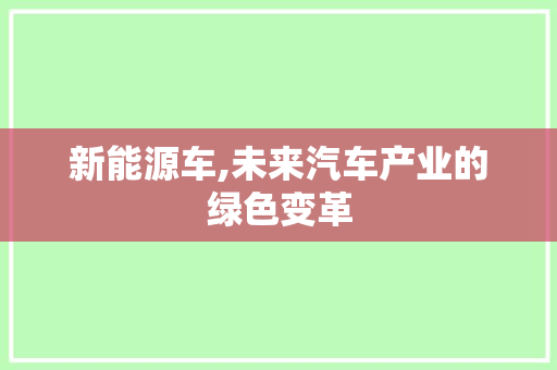 新能源车,未来汽车产业的绿色变革