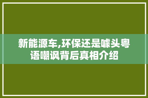 新能源车,环保还是噱头粤语嘲讽背后真相介绍