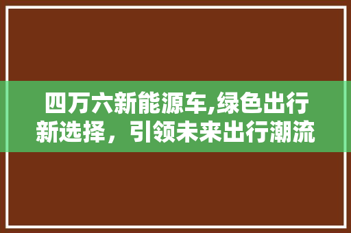 四万六新能源车,绿色出行新选择，引领未来出行潮流