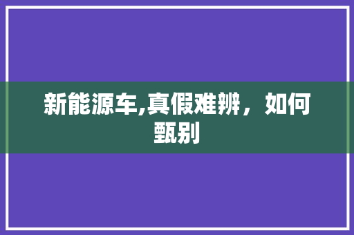 新能源车,真假难辨，如何甄别