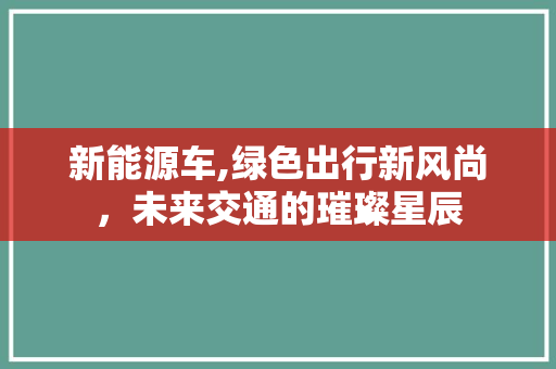 新能源车,绿色出行新风尚，未来交通的璀璨星辰