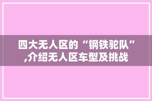 四大无人区的“钢铁驼队”,介绍无人区车型及挑战