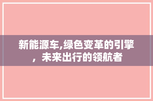 新能源车,绿色变革的引擎，未来出行的领航者