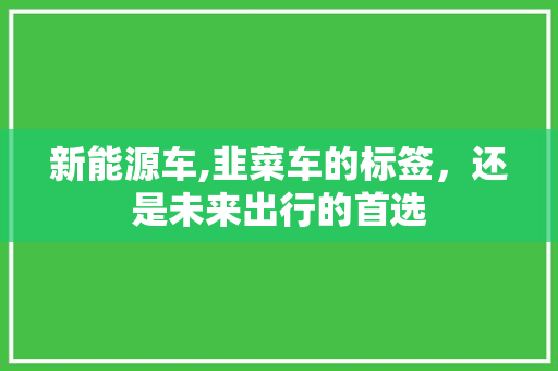 新能源车,韭菜车的标签，还是未来出行的首选