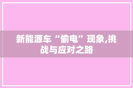新能源车“偷电”现象,挑战与应对之路