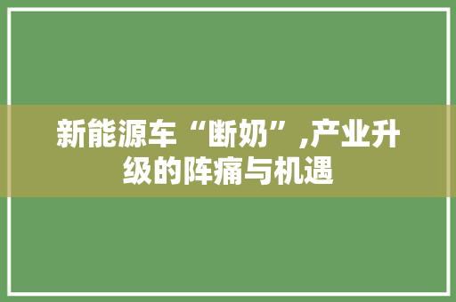 新能源车“断奶”,产业升级的阵痛与机遇