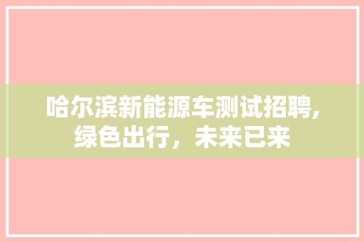 哈尔滨新能源车测试招聘,绿色出行，未来已来