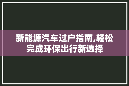 新能源汽车过户指南,轻松完成环保出行新选择
