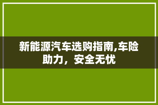 新能源汽车选购指南,车险助力，安全无忧