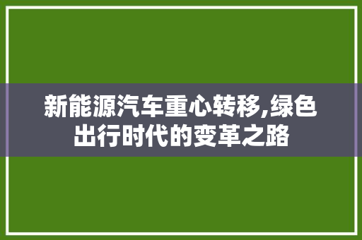 新能源汽车重心转移,绿色出行时代的变革之路