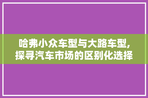 哈弗小众车型与大路车型,探寻汽车市场的区别化选择