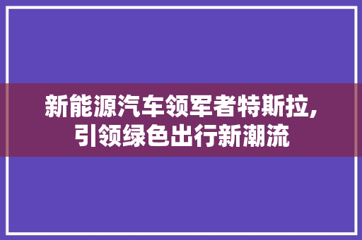 新能源汽车领军者特斯拉,引领绿色出行新潮流