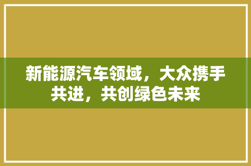 新能源汽车领域，大众携手共进，共创绿色未来