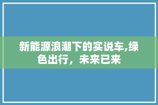 新能源浪潮下的实说车,绿色出行，未来已来