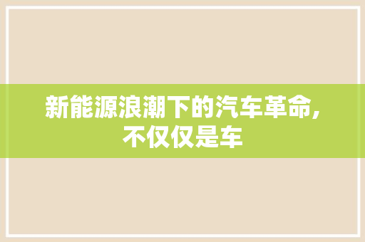 新能源浪潮下的汽车革命,不仅仅是车