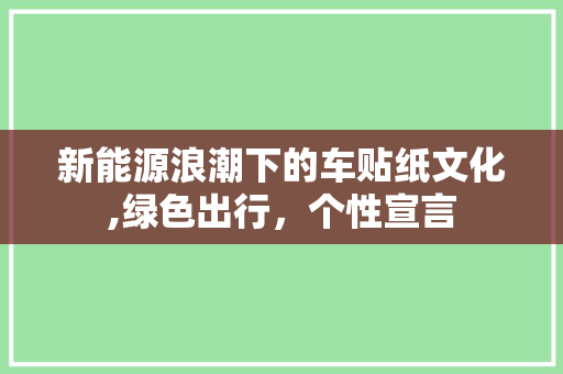 新能源浪潮下的车贴纸文化,绿色出行，个性宣言