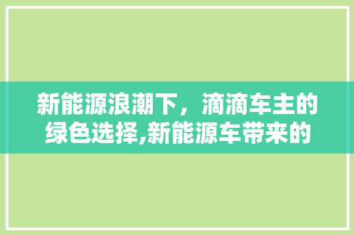新能源浪潮下，滴滴车主的绿色选择,新能源车带来的变革与机遇
