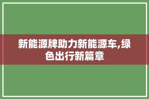 新能源牌助力新能源车,绿色出行新篇章