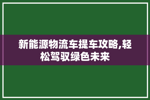 新能源物流车提车攻略,轻松驾驭绿色未来