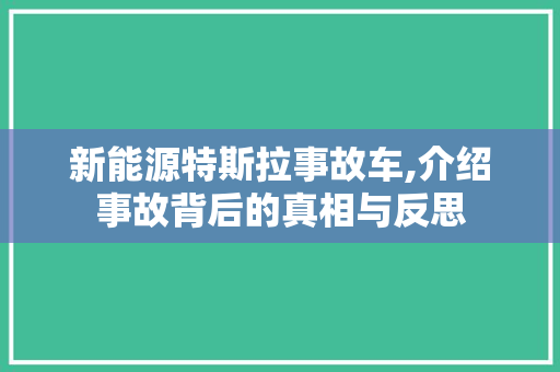 新能源特斯拉事故车,介绍事故背后的真相与反思