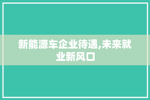 新能源车企业待遇,未来就业新风口