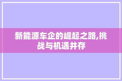 新能源车企的崛起之路,挑战与机遇并存