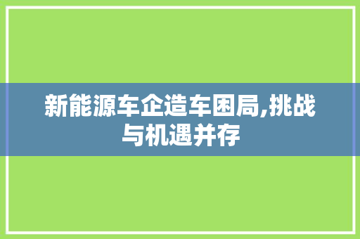新能源车企造车困局,挑战与机遇并存