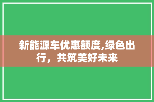 新能源车优惠额度,绿色出行，共筑美好未来