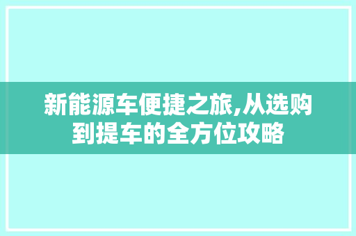 新能源车便捷之旅,从选购到提车的全方位攻略