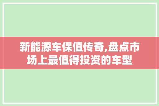 新能源车保值传奇,盘点市场上最值得投资的车型