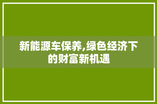 新能源车保养,绿色经济下的财富新机遇