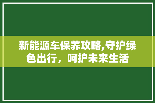 新能源车保养攻略,守护绿色出行，呵护未来生活