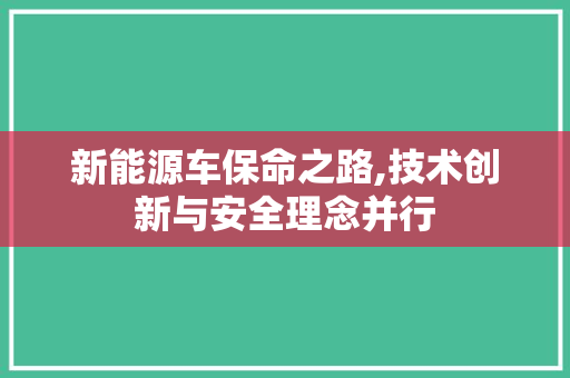 新能源车保命之路,技术创新与安全理念并行