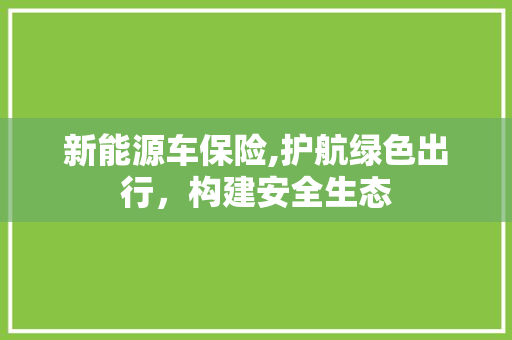 新能源车保险,护航绿色出行，构建安全生态