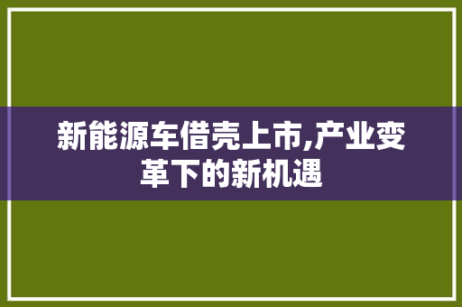 新能源车借壳上市,产业变革下的新机遇