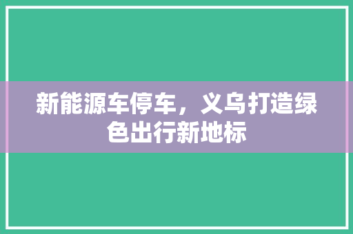 新能源车停车，义乌打造绿色出行新地标