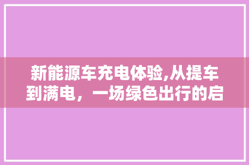 新能源车充电体验,从提车到满电，一场绿色出行的启程