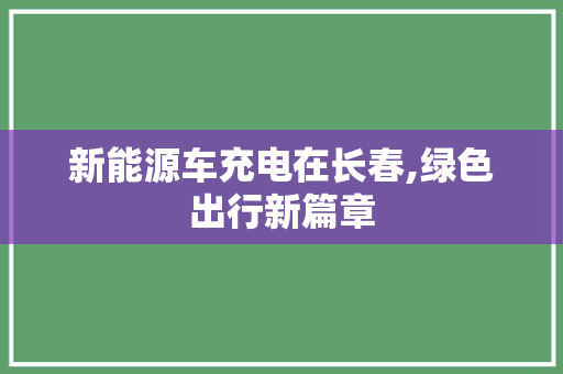 新能源车充电在长春,绿色出行新篇章