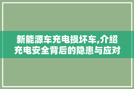 新能源车充电损坏车,介绍充电安全背后的隐患与应对步骤