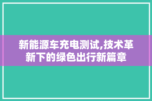 新能源车充电测试,技术革新下的绿色出行新篇章