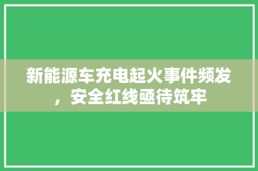 新能源车充电起火事件频发，安全红线亟待筑牢