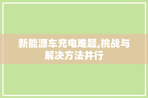 新能源车充电难题,挑战与解决方法并行