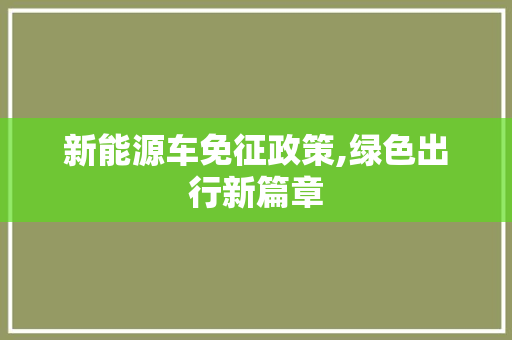 新能源车免征政策,绿色出行新篇章