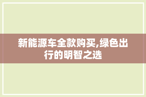 新能源车全款购买,绿色出行的明智之选