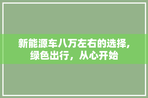 新能源车八万左右的选择,绿色出行，从心开始