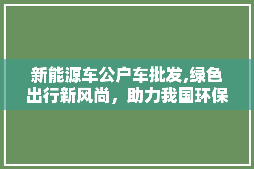 新能源车公户车批发,绿色出行新风尚，助力我国环保事业