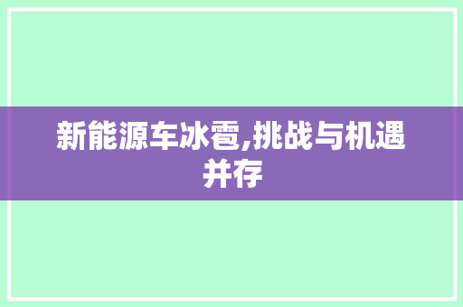 新能源车冰雹,挑战与机遇并存