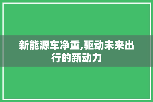 新能源车净重,驱动未来出行的新动力