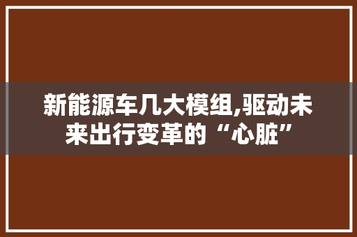 新能源车几大模组,驱动未来出行变革的“心脏”
