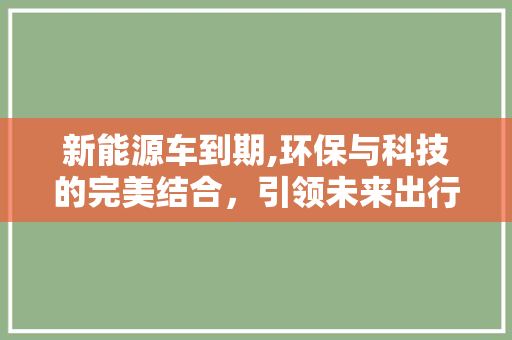 新能源车到期,环保与科技的完美结合，引领未来出行新潮流